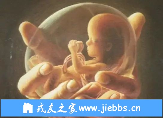 ”堕胎的恐怖因果|婴灵十五次入胎，只为不断报复母亲！