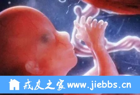”中国1年1300万台人流手术，少女把紧急避孕药当糖吃