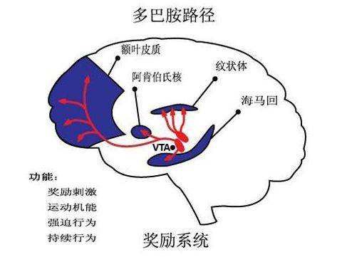 ”第33章